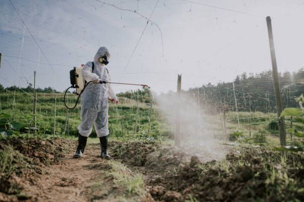 Best Pest Removal Services  in Highland, CA