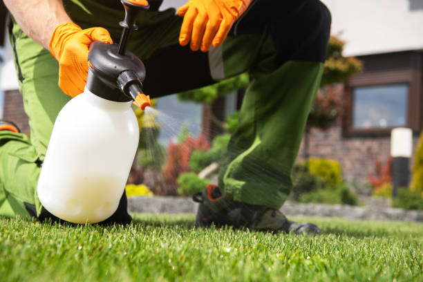Best Best Pest Control Companies  in Highland, CA