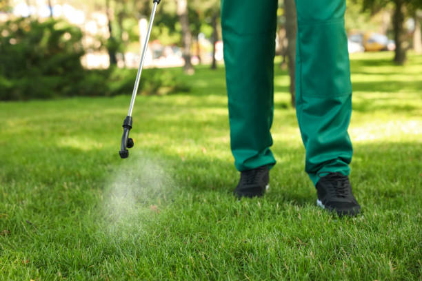 Professional Pest Control in Highland, CA