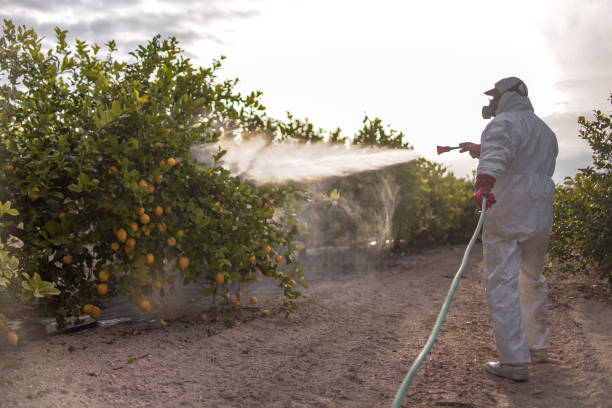 Best Best Pest Control Companies  in Highland, CA