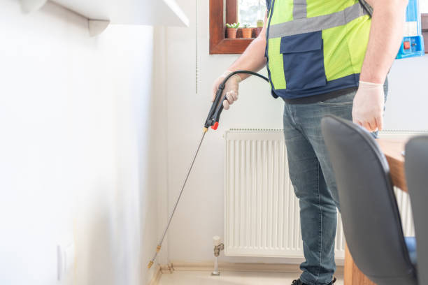 Best Wasp Removal Services  in Highland, CA