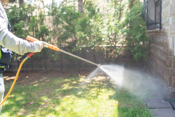 Best Exterminator Services  in Highland, CA