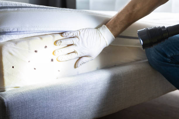 Best Commercial Pest Control Services  in Highland, CA