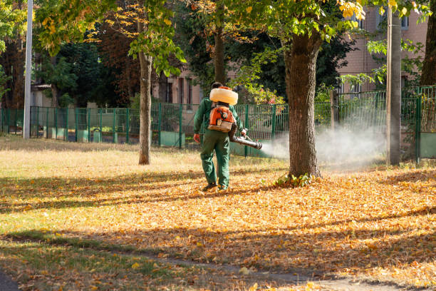 Best Mosquito Control Services  in Highland, CA
