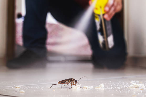 Best Emergency Pest Control  in Highland, CA